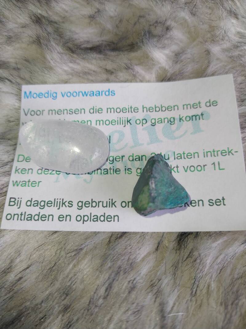 Moedig voorwaarts