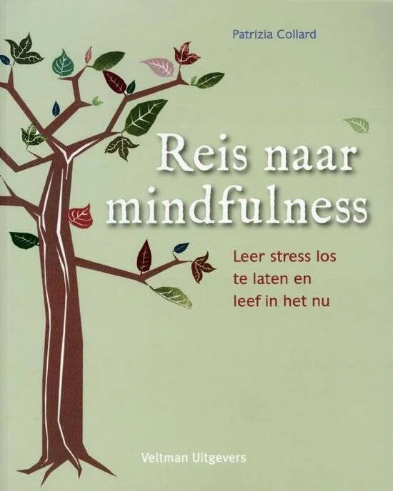 Reis naar mindfulness - tweedehands