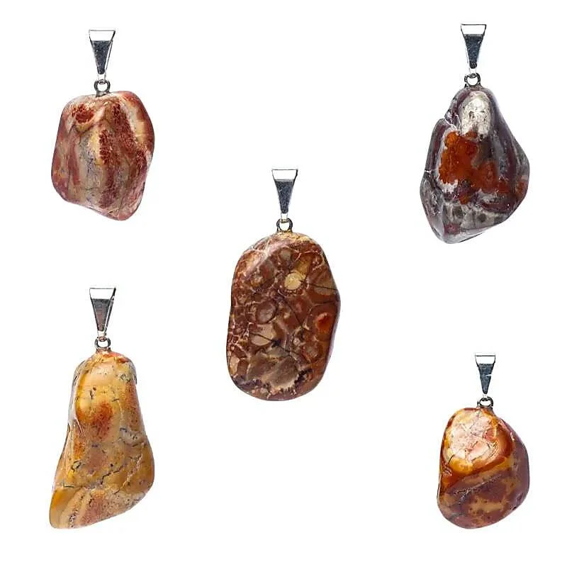 Bird’s Eye Jaspis hanger – vogeloog jaspis– Vooruitgang & Balans