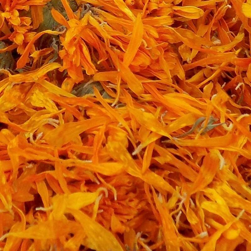 Goudsbloem Bloesem Heel (Calendula) | Kruidenthee 100% Natuurlijk