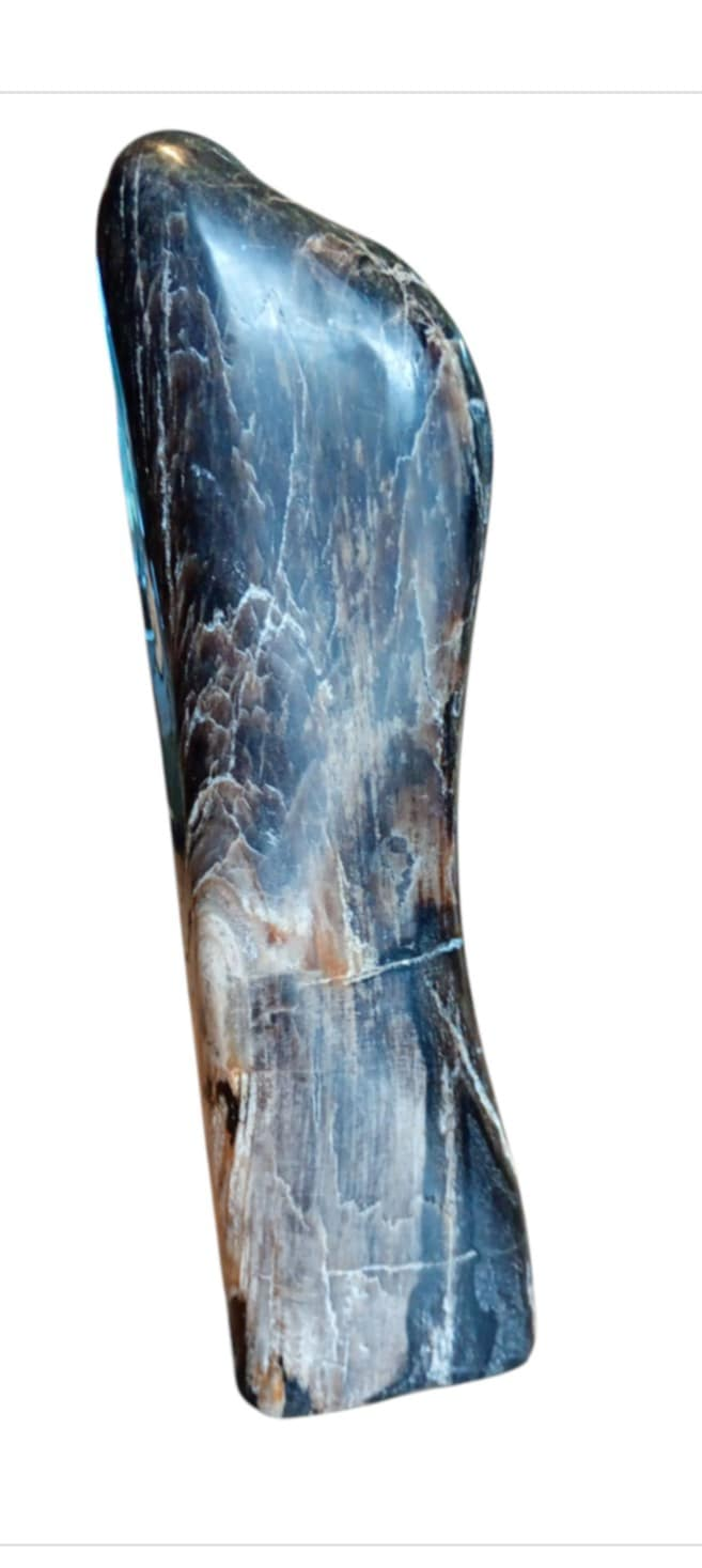 Versteend hout