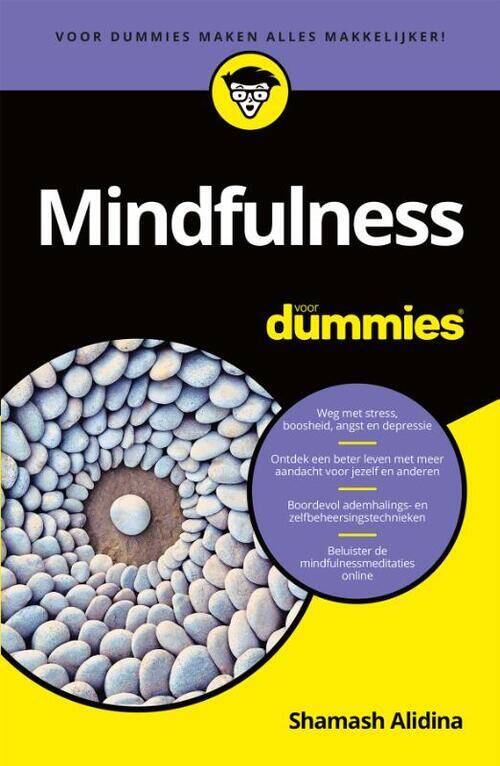 Mindfulness voor dummies - tweedehands