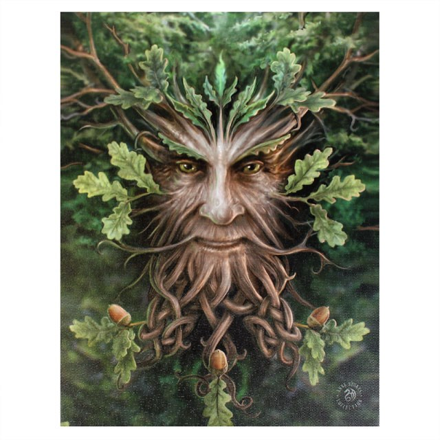 Oak King Canvasplank 19x25 cm – Anne Stokes – Fantasy & Gothic Decor