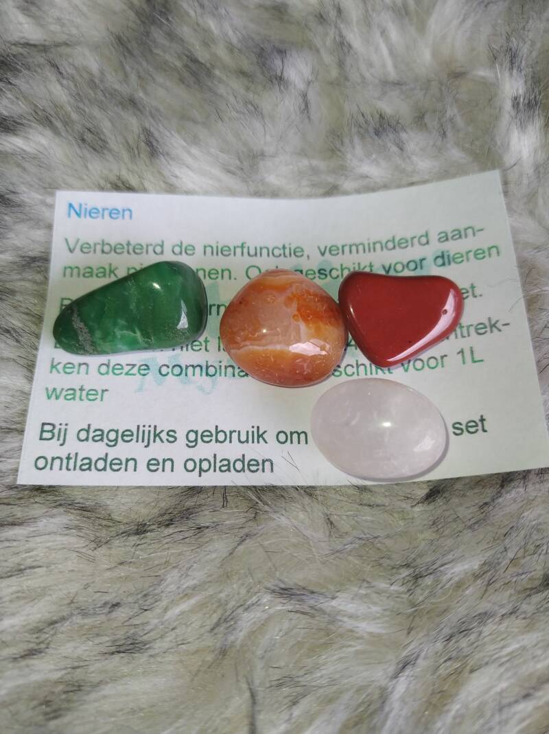 Nieren