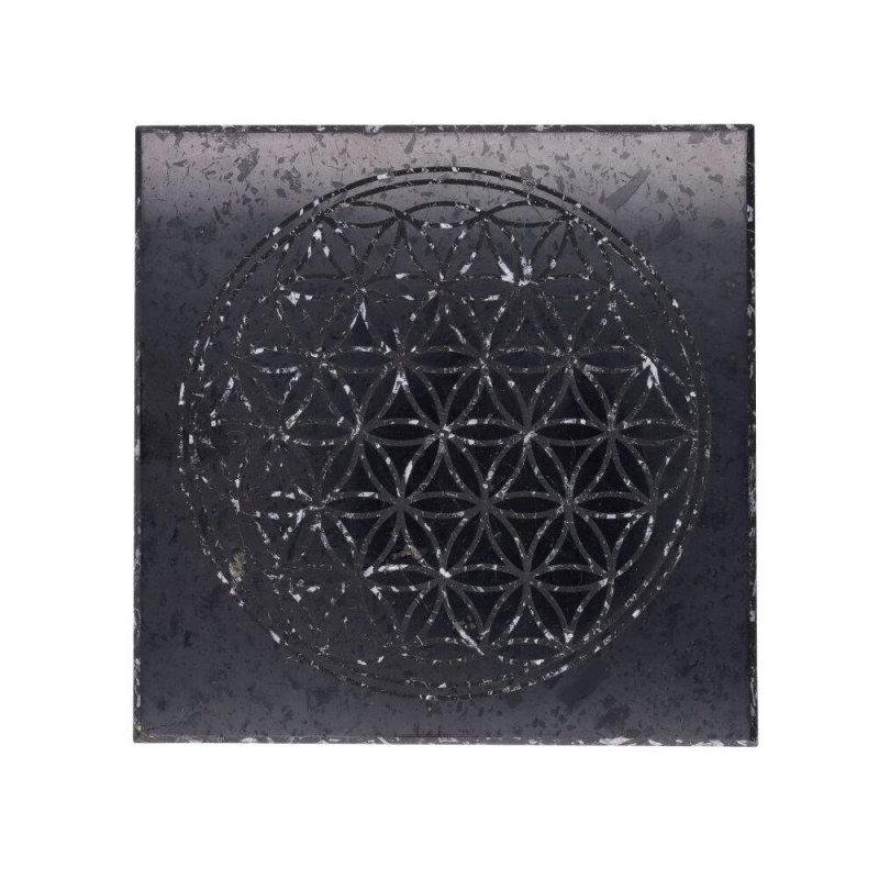 Flower of Life Shungiet Plaat 10x10 cm – Bescherming & Harmonie