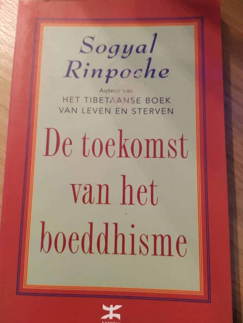 De Toekomst Van Het Boeddhisme - tweedehands