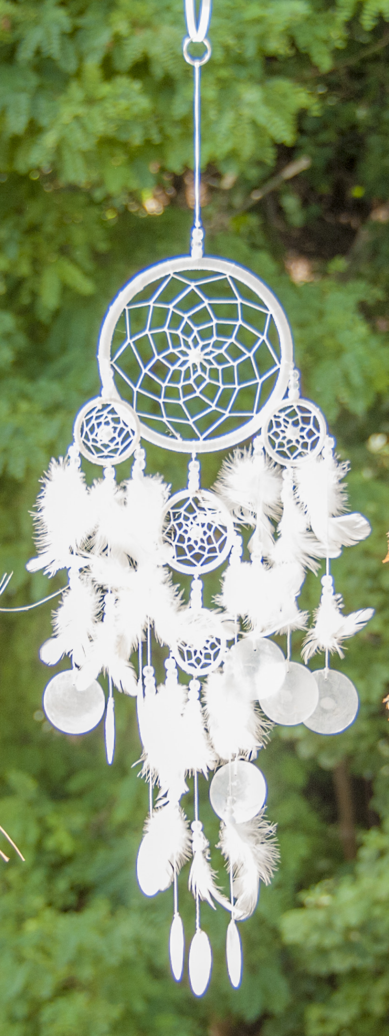 Witte Dromenvanger met Capiz Schelpen – Bescherming & Positieve Energie